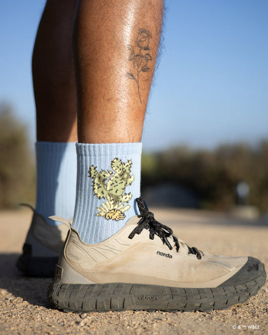 Looney Tunes x Parks Project Trail Sock