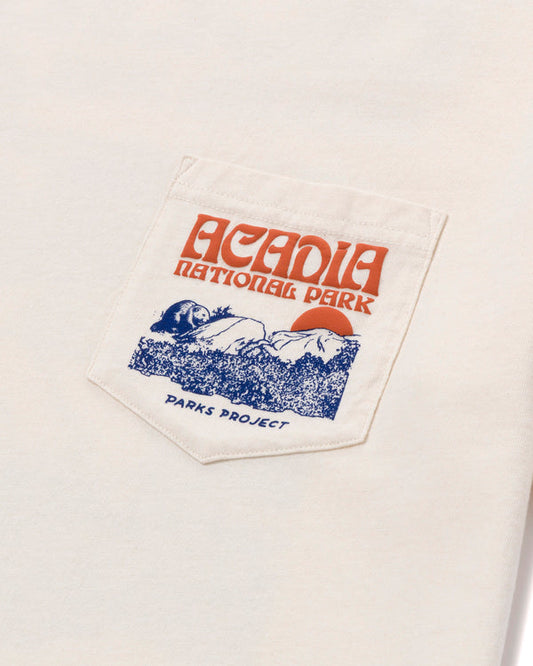 Acadia Puff Print Pocket Tee 13.50