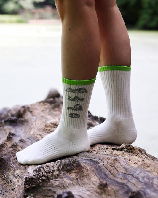 AllTrails x Parks Project Trail Sock