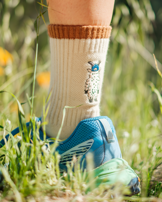 Adventure with Friends Trail Crew Sock 2 Pack