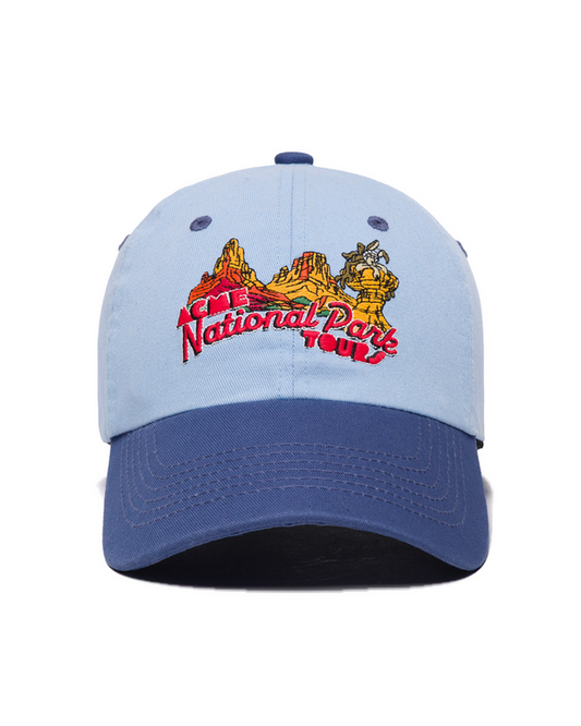 Looney Tunes x Parks Project Hat