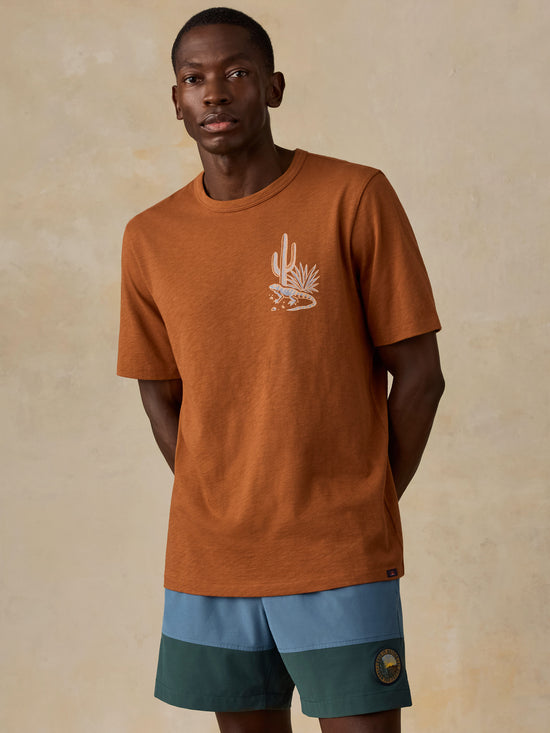 Faherty x Parks Project Chihuahuan Desert Short Sleeve Sunwashed Tee