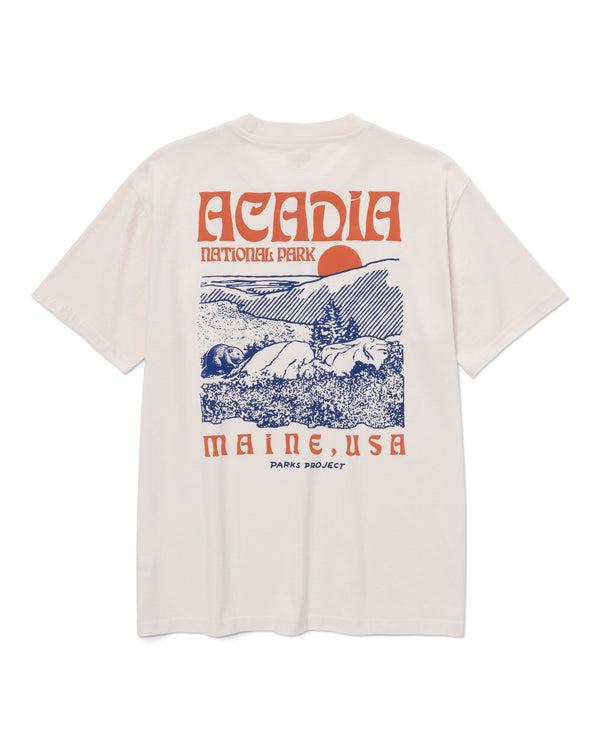 Acadia Puff Print Pocket Tee 13.50