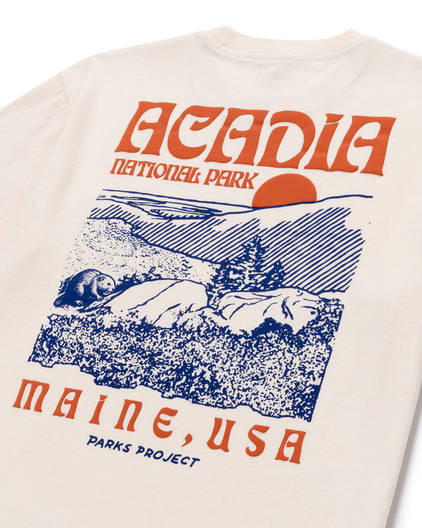 Acadia Puff Print Pocket Tee 13.50