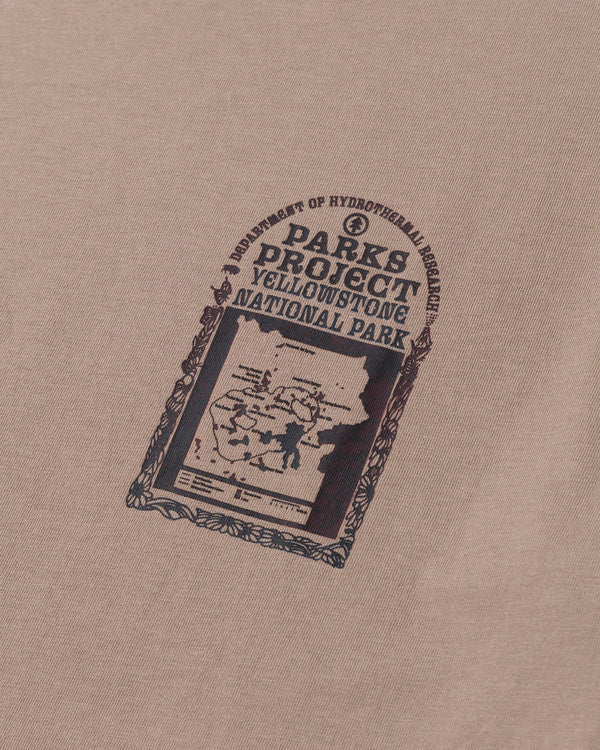 Hydrothermal Study Tee