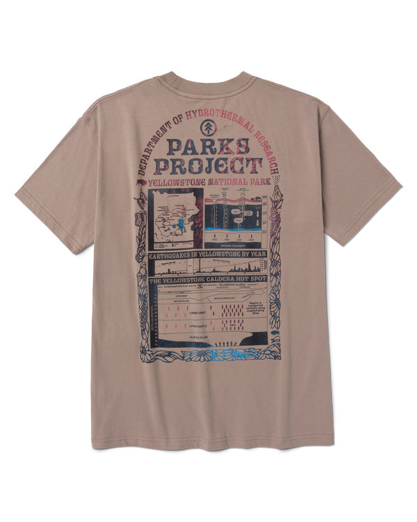 Hydrothermal Study Tee