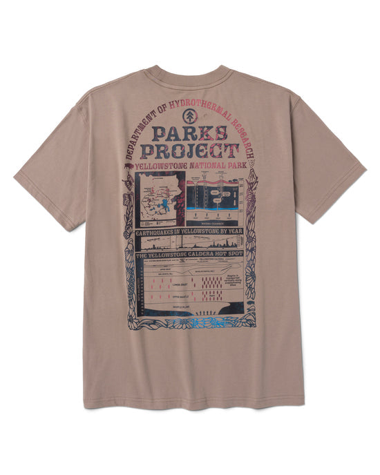 Hydrothermal Study Tee