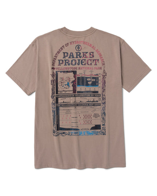 Hydrothermal Study Tee