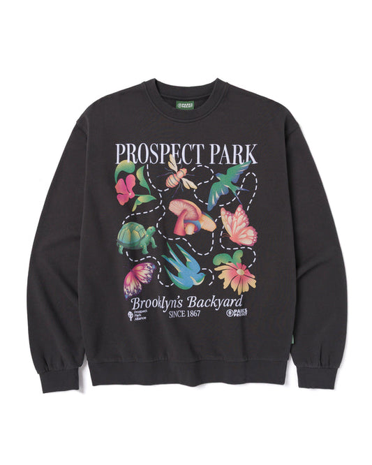 Prospect Park Alliance x Parks Project Brooklyn's Backyard Crew