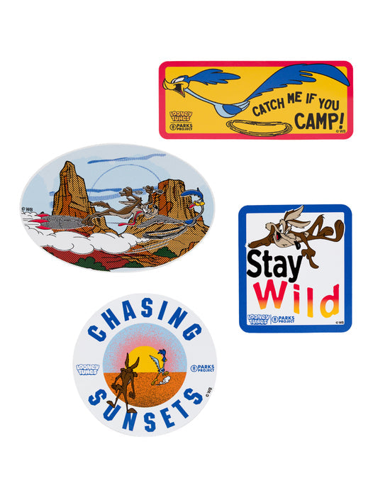 Looney Tunes x Parks Project Water Bottle and Sticker Pack